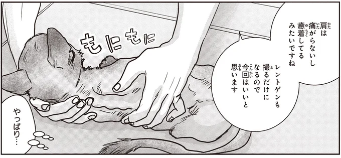 子猫は「傷だらけ」なんてもんじゃなかった。優しい獣医さんの診断に涙が.../スローステップ朔太郎 上