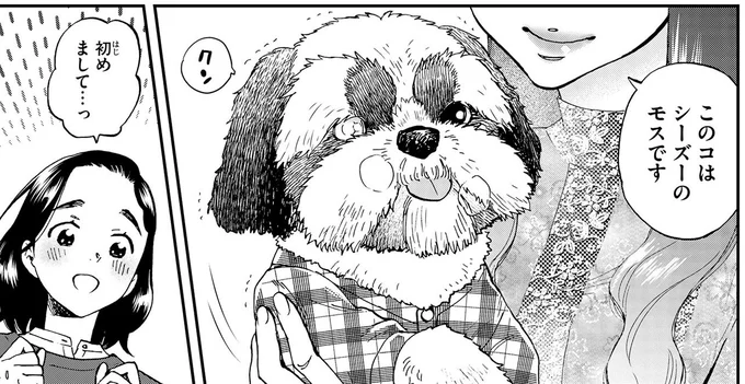 8歳の時から15年ずっと一緒。依頼人に寄り添ってきた愛犬の見守り/ランチ酒1