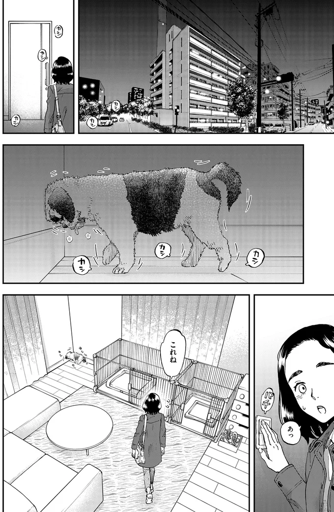 15年はどうでした？依頼人の愛犬を見守りながら思い出すのは／ランチ酒1 01-07-01.png