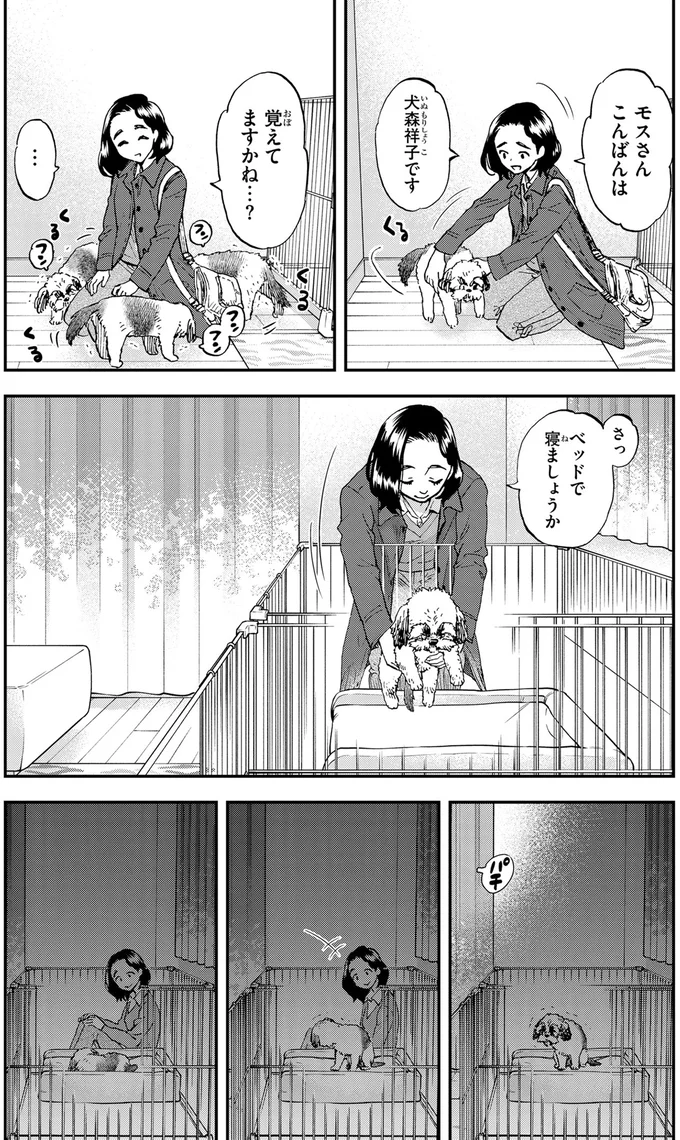 15年はどうでした？依頼人の愛犬を見守りながら思い出すのは／ランチ酒1 01-07-02.png