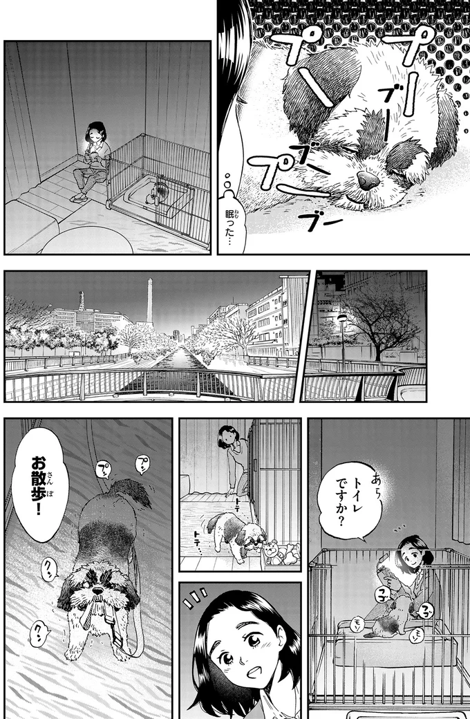 15年はどうでした？依頼人の愛犬を見守りながら思い出すのは／ランチ酒1 01-07-03.png