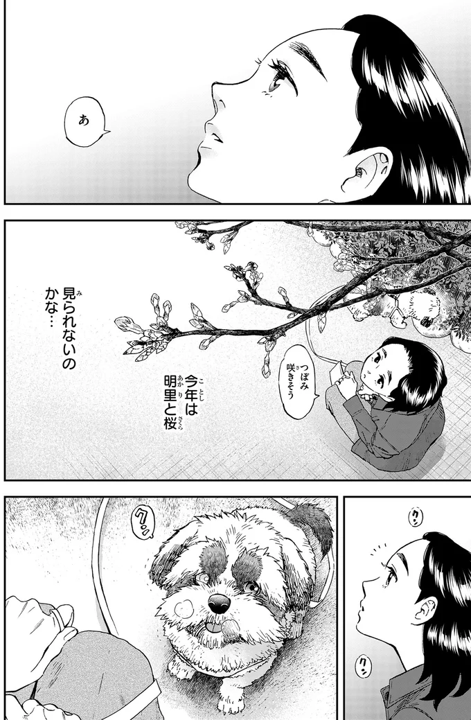 15年はどうでした？依頼人の愛犬を見守りながら思い出すのは／ランチ酒1 01-07-05.png