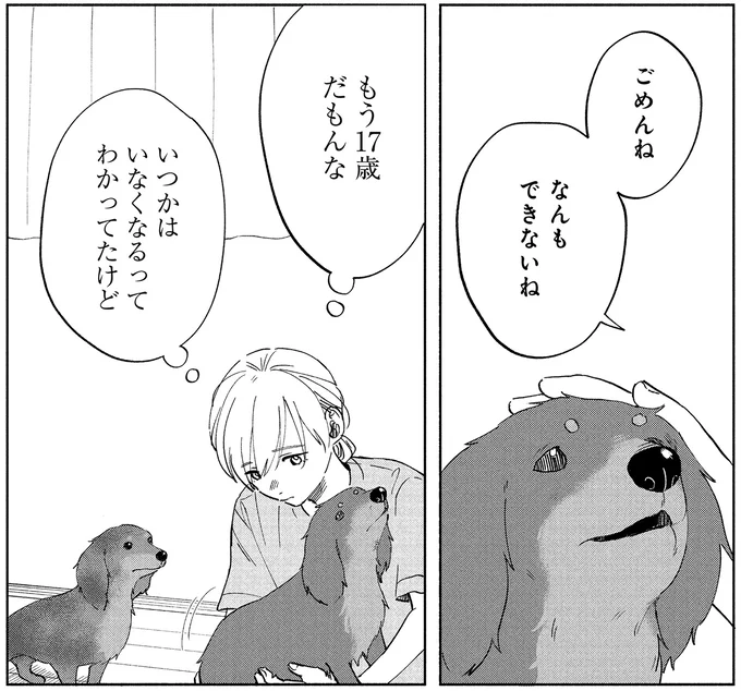 17年一緒だった愛犬が「余命1カ月」と診断された日。私にできることは...？／アルへ 01-07.webp