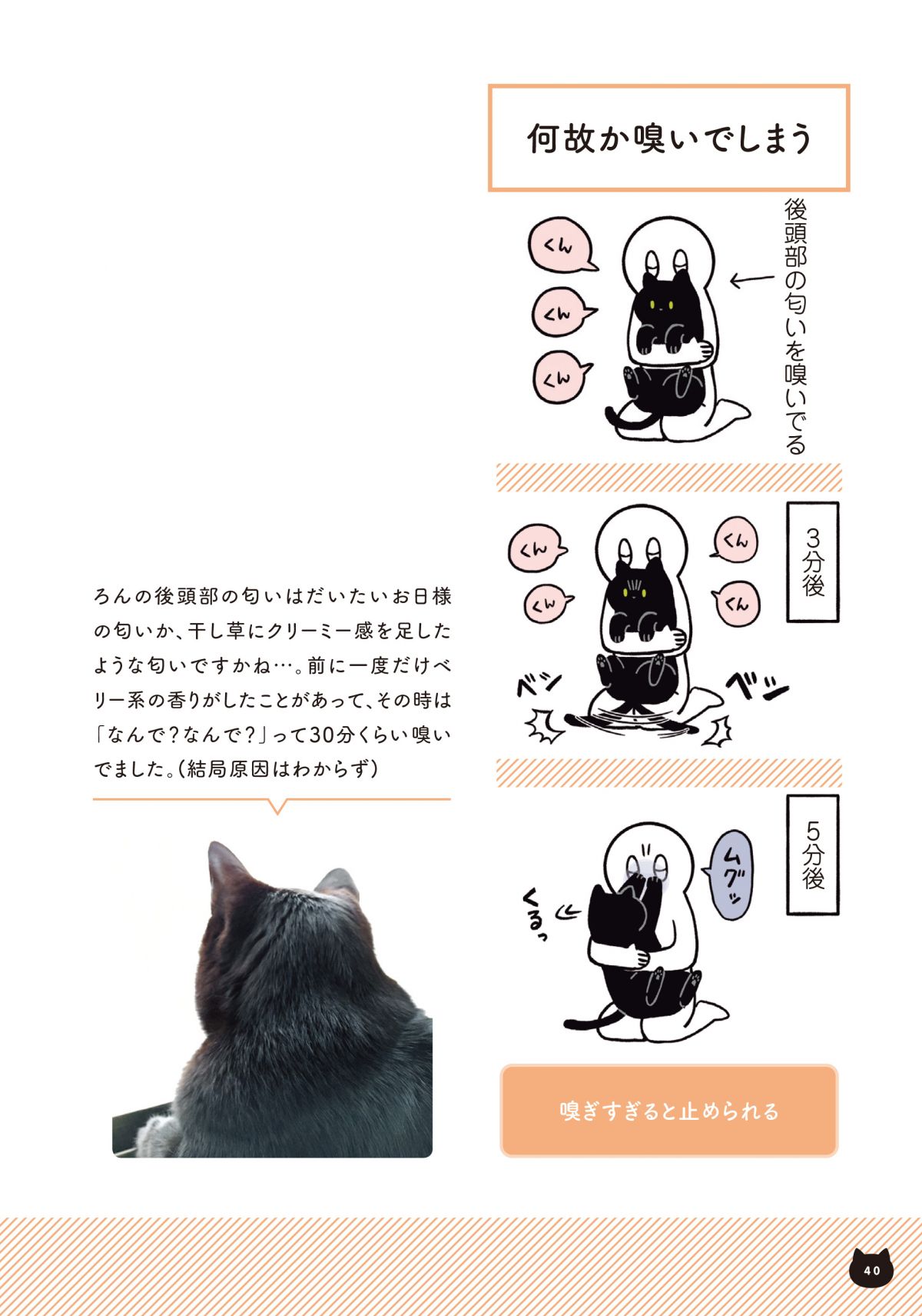 猫を吸う 吸い過ぎて怒られる でも怒って行ったところは 黒猫ろんと暮らしたら 毎日が発見ネット Goo ニュース