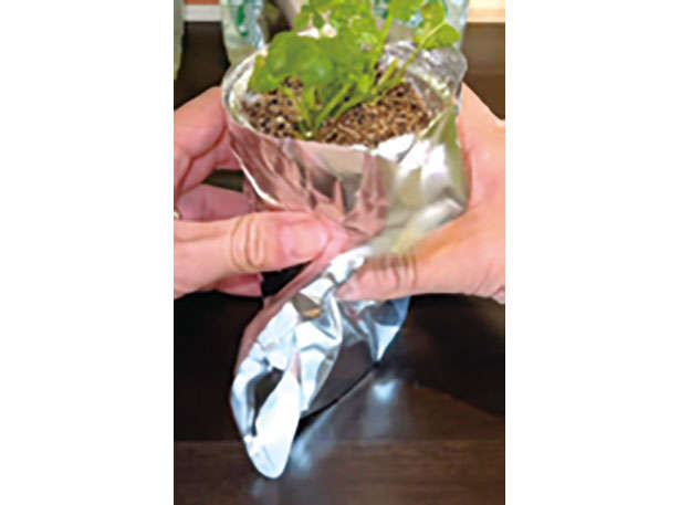 カフェや100均で手に入る「プラカップ」を使って、葉物野菜やハーブを栽培しよう！ 0102008.jpg