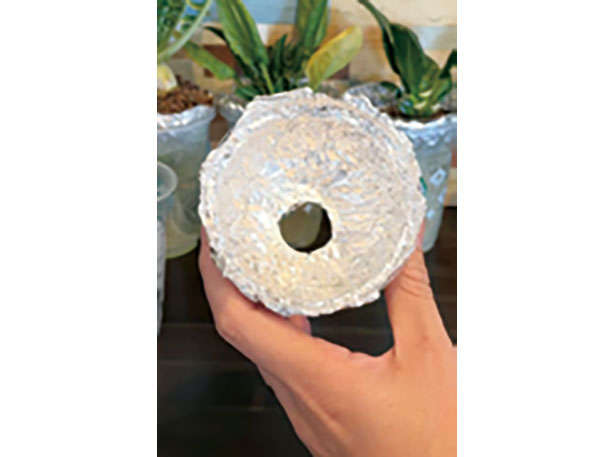 カフェや100均で手に入る「プラカップ」を使って、葉物野菜やハーブを栽培しよう！ 010201.jpg