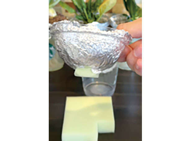 カフェや100均で手に入る「プラカップ」を使って、葉物野菜やハーブを栽培しよう！ 010202.jpg