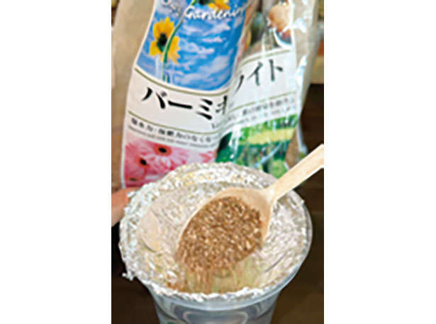 カフェや100均で手に入る「プラカップ」を使って、葉物野菜やハーブを栽培しよう！ 010205.jpg