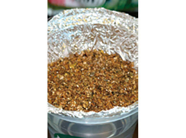 カフェや100均で手に入る「プラカップ」を使って、葉物野菜やハーブを栽培しよう！ 010206.jpg