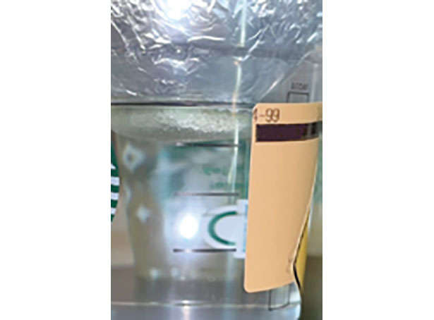 カフェや100均で手に入る「プラカップ」を使って、葉物野菜やハーブを栽培しよう！ 010207.jpg