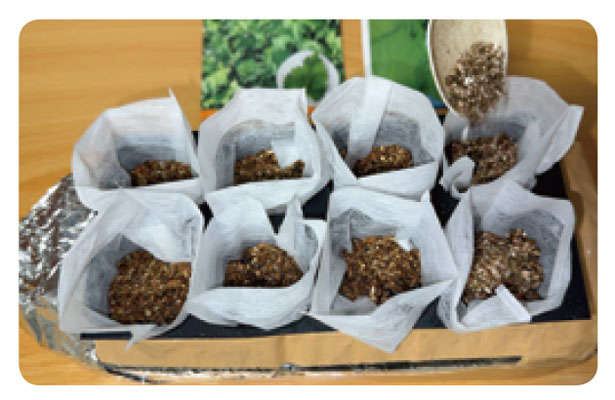 「しそ」を育てるなら暖かくなったいまが最適！「水耕栽培」なら約2か月で収穫できる 010408.jpg