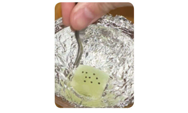 「しそ」を育てるなら暖かくなったいまが最適！「水耕栽培」なら約2か月で収穫できる 01042.jpg