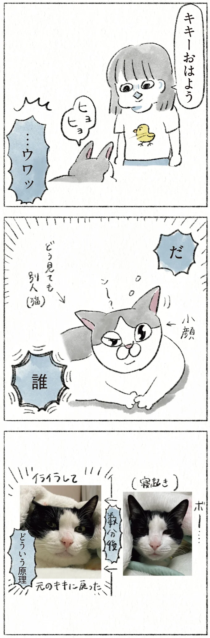 『うちの猫は今日も塩対応』 23.webp