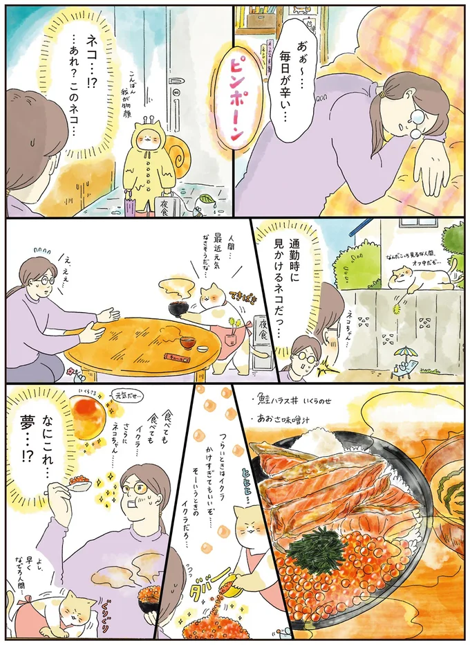 「毎日が辛い」女性に、ネコが届けてくれた「鮭ハラス丼いくらのせ」／疲れた人に夜食を届ける出前店2 21.png