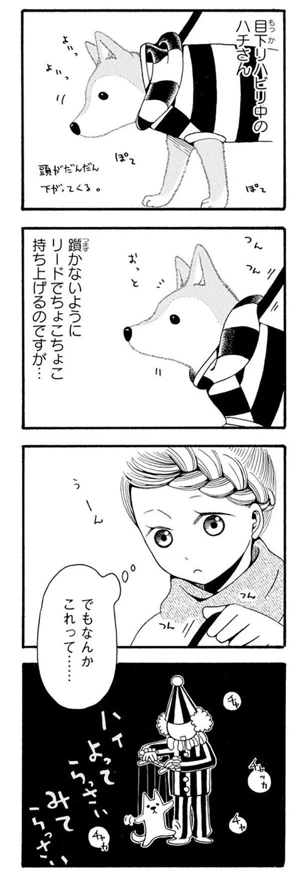 『96歳の柴犬ハチさんは、今日もお散歩しています。』 93.webp