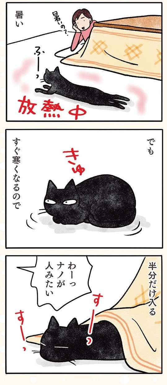 なーっ、なーっ、黒猫ナノは大きな音が嫌い。でも「一番うるさい」のは／黒猫ナノとキジシロ猫きなこ kuroneko_nano4-2.jpg