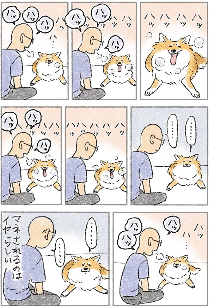 『犬を揉む　-ぺちょら... ときどき 帰宅拒否-』 82.webp