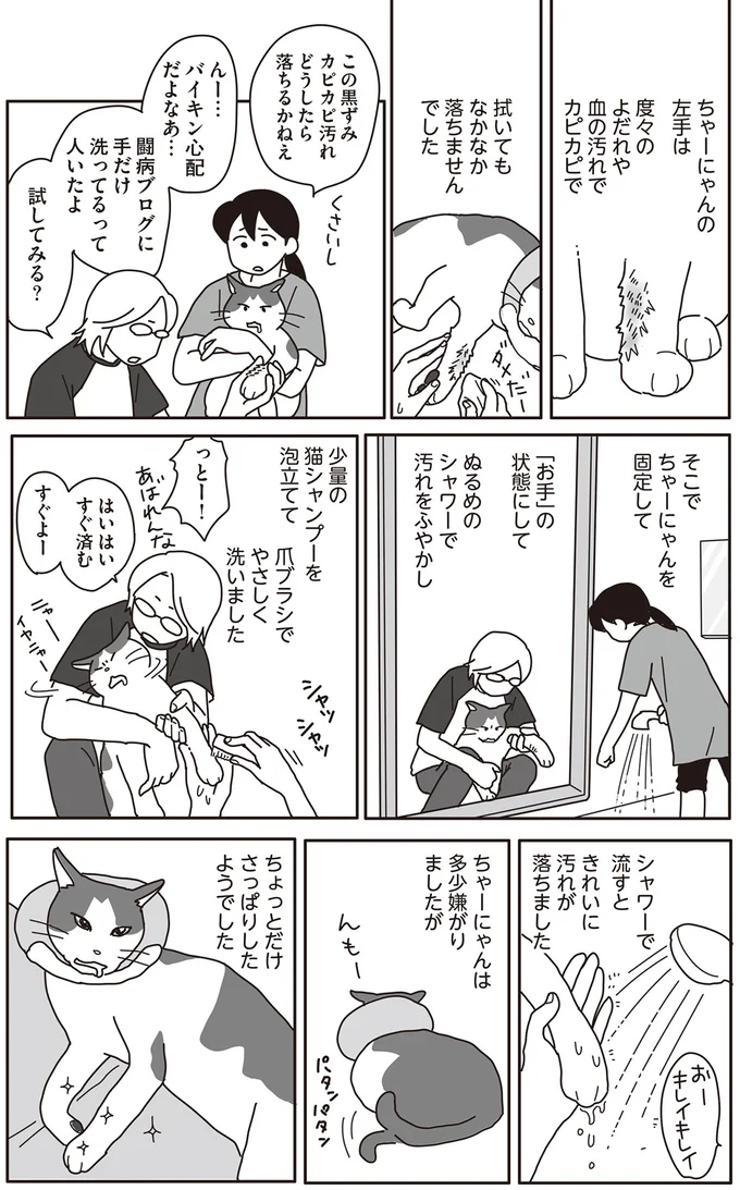 『世界一幸せな飼い主にしてくれた猫』 17-02.png