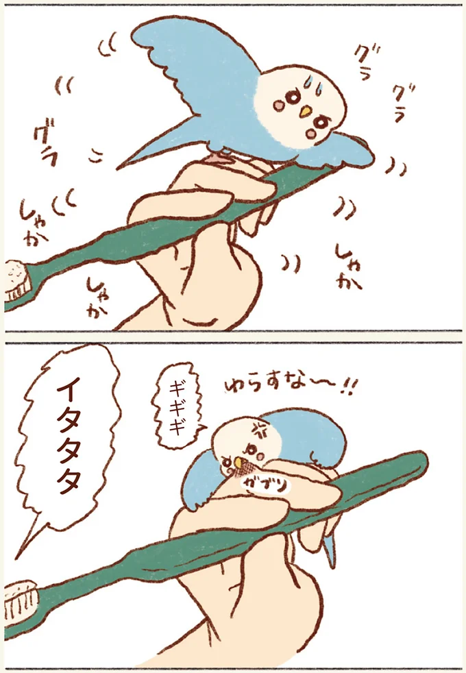 『プジェ日記！ 幸せを運ぶインコのみっちゃん』 83.webp