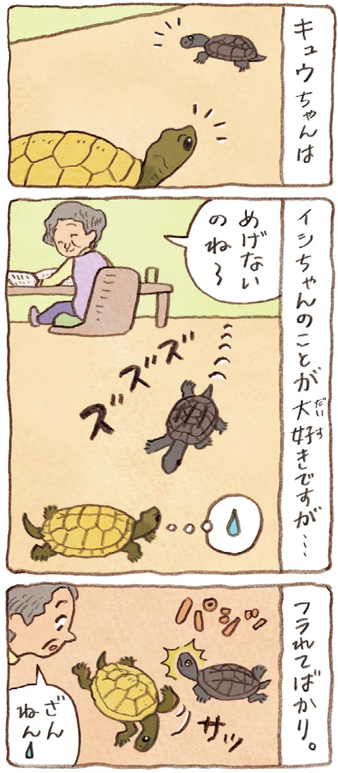 おばあちゃんとかめ 何げに楽しい2匹とのくらし 02-05.webp