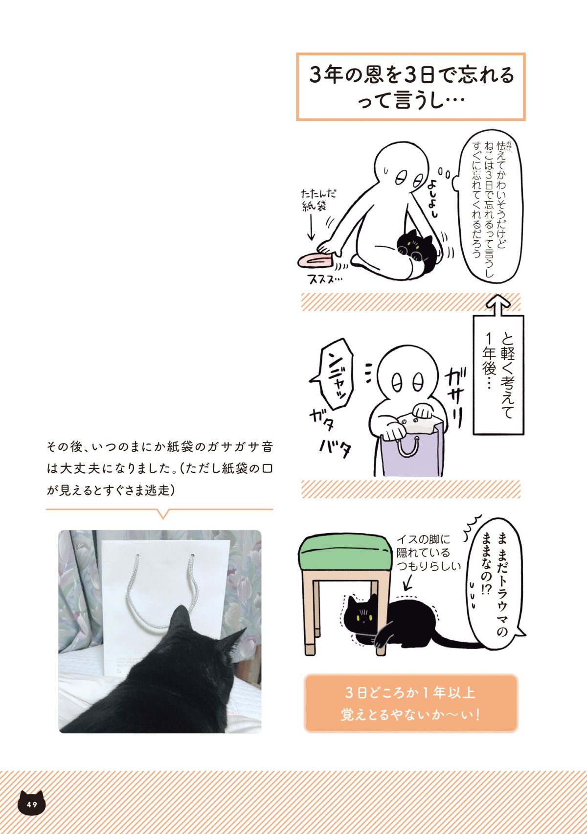 猫に紙袋 好きな遊び道具になるはずが トラウマに 黒猫ろんと暮らしたら 毎日が発見ネット Goo ニュース