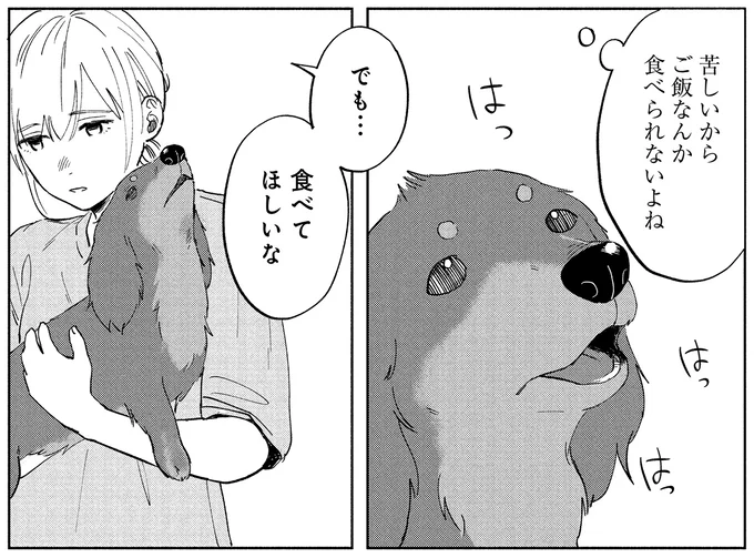 『アルへ』 02-13.webp