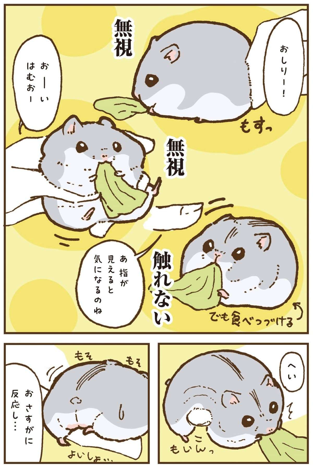 ハムスターはどこを触ったら大丈夫？ うちの「はむお」で検証すると...／今日もハムスターから目が離せない！ 11.jpg