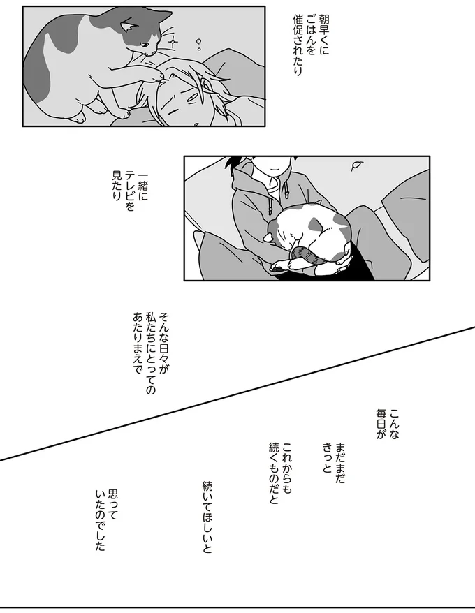 夫婦の縁をつないでくれた保護猫。マリッジブルーも癒してくれて...／世界一幸せな飼い主にしてくれた猫 03-07.png