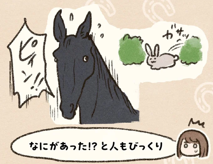 うまくできずに落ち込む私に寄り添って。馬には感情があると肌で感じた日／馬に乗らずにいられない！ 08-13.png