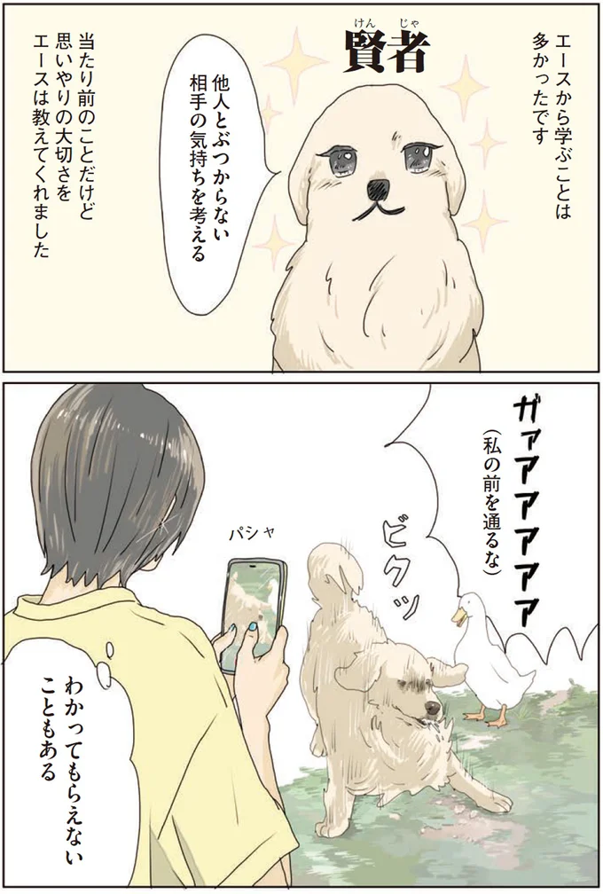 『エースくんとヨバンさん 犬とアヒルの友情物語』 93.webp