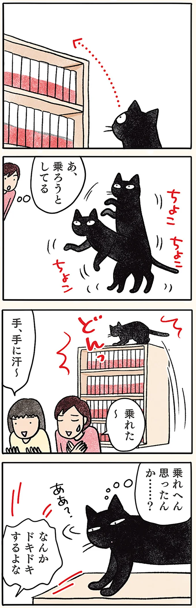 『黒猫ナノとキジシロ猫きなこ』 09-02.png