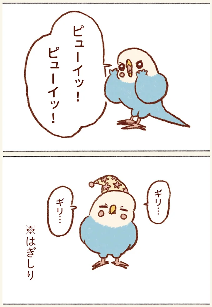 『プジェ日記！ 幸せを運ぶインコのみっちゃん』 13.webp