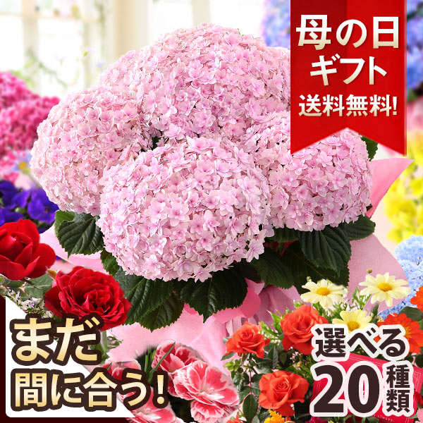 「お母さん、ありがとう」【今年の売れ筋】人気の母の日ギフトを厳選！【楽天市場】 81RkK2YcNCL._AC_UL1500_.jpg