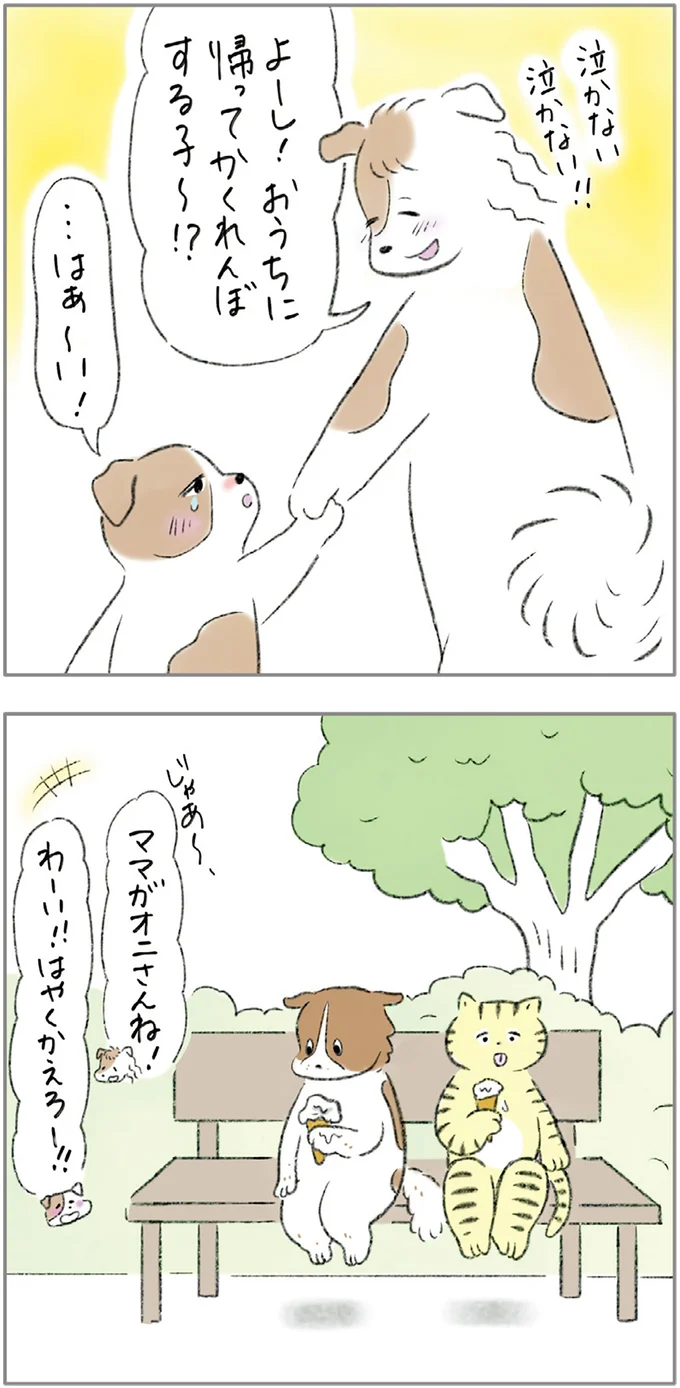 『ターとアグのしあわせ日和 元ノラ猫と元保護犬、ふたりは親友』 12-03.png