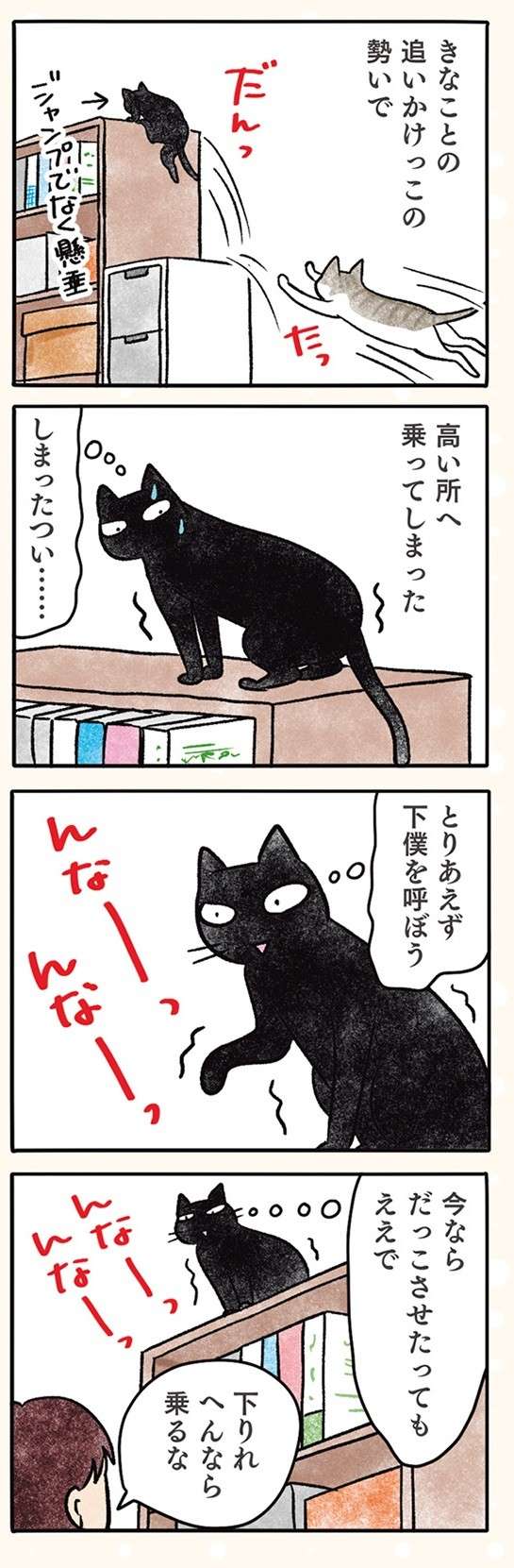 「もう覚えたで」猫が覚えた人間（＝下僕）を操る方法／黒猫ナノとキジシロ猫きなこ kuroneko_nano3-3.jpg