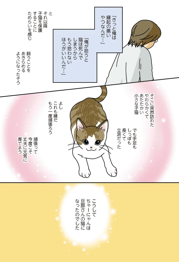 新聞配達員から届けられた小さな命。「今日からウチの猫だぞ」／世界一幸せな飼い主にしてくれた猫 01-04.png