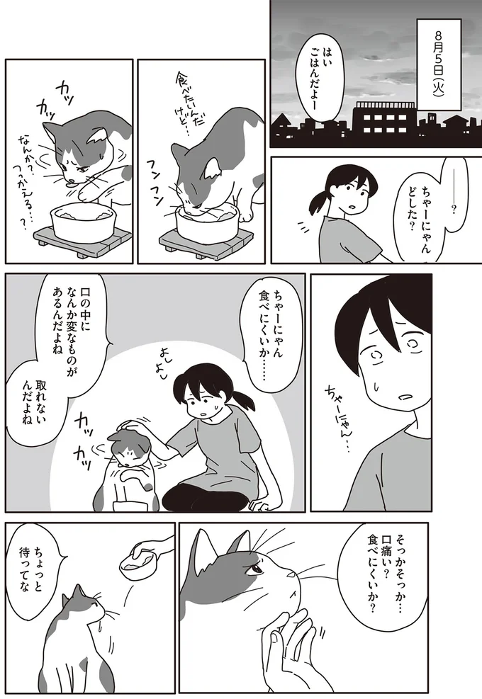 『世界一幸せな飼い主にしてくれた猫』 08-04.png