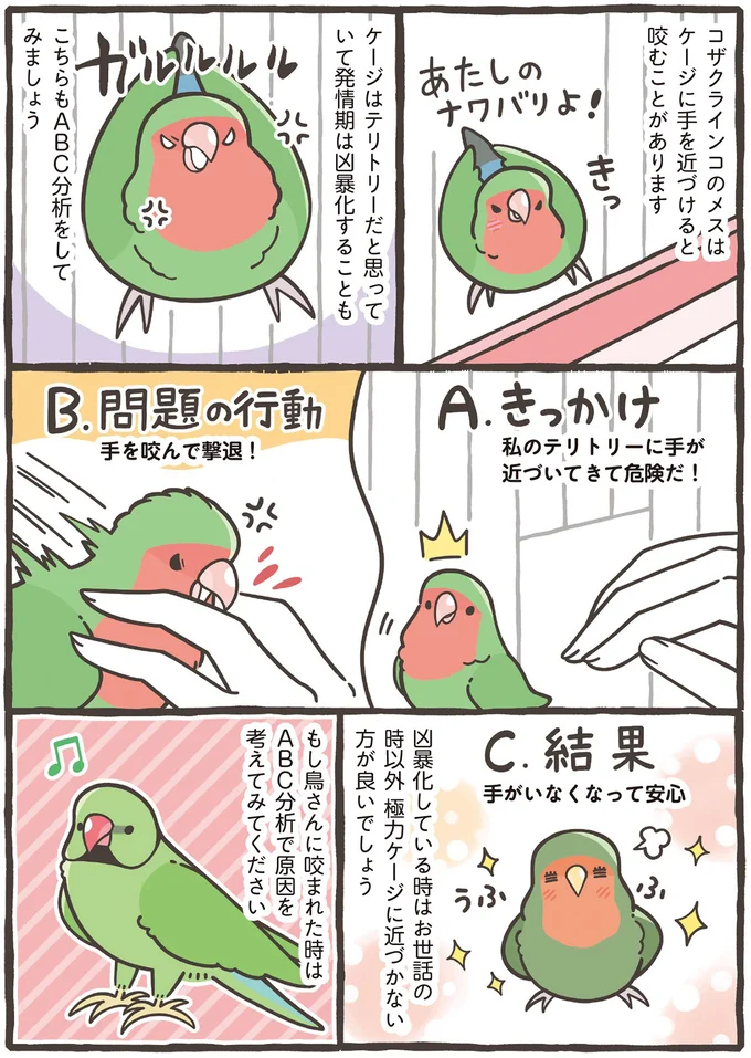 なぜ噛んだりするのかな？ ABC分析で小鳥たちの行動の原因をチェック／トリ扱い説明書 63.png