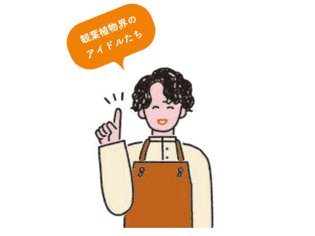 観葉植物初心者に「フィカス」がオススメな理由【くわしすぎる園芸店員が教える】 0410.jpg