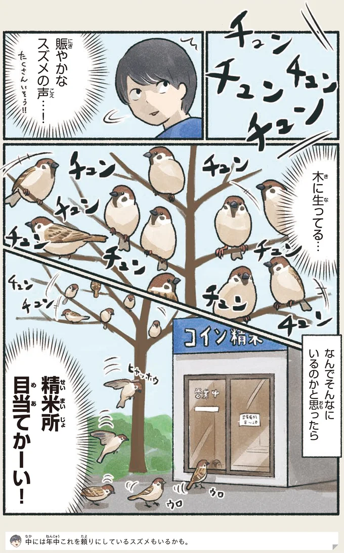 『意外と知らない鳥の生活 1〜2』 21.webp