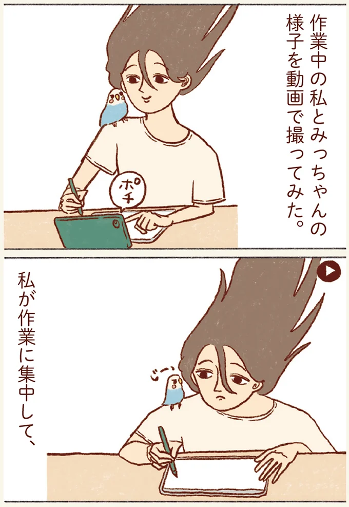『プジェ日記！ 幸せを運ぶインコのみっちゃん』 91.webp