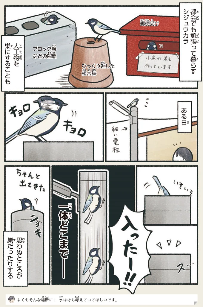 「大人になっても甘えたいのは同じ」これでパートナーとの絆を深める...！／意外と知らない鳥の生活 1.png