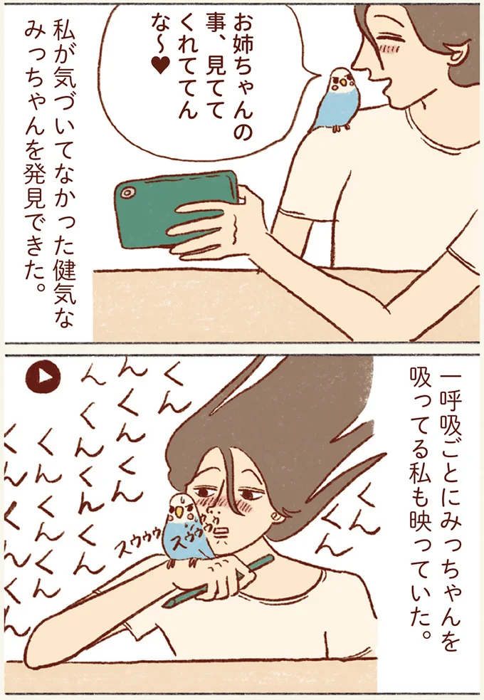 『プジェ日記！ 幸せを運ぶインコのみっちゃん』 93.webp