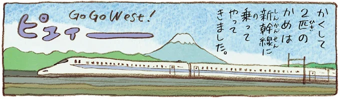 おばあちゃんとかめ 何げに楽しい2匹とのくらし 05-07.webp