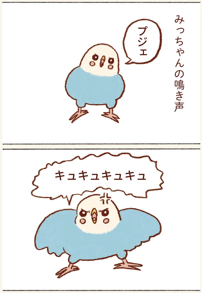 『プジェ日記！ 幸せを運ぶインコのみっちゃん』 11.webp