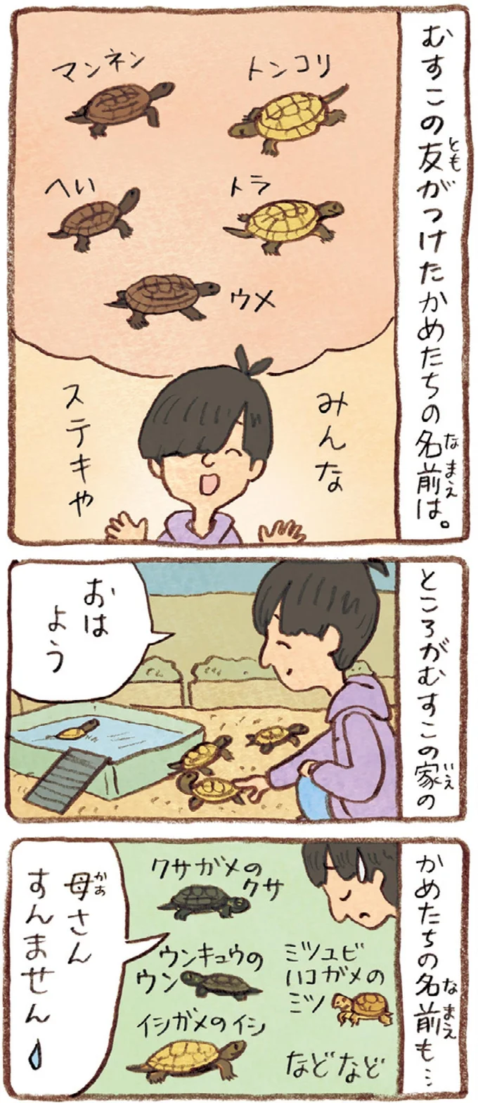 おばあちゃんとかめ 何げに楽しい2匹とのくらし 06-08.webp