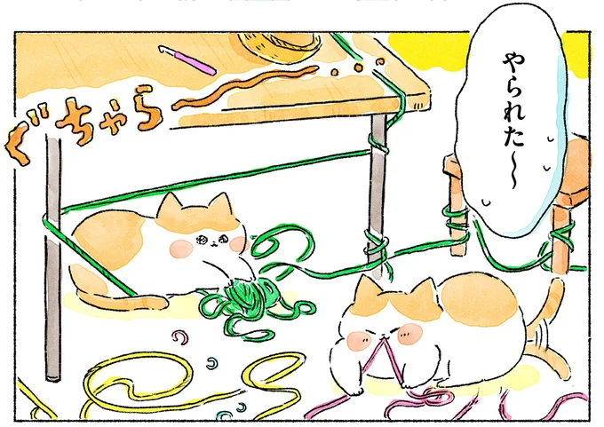 毛糸をネコたちから守るために。編み物道具を収納するグッズ選びも楽しい！／かぎ針編みはじめました