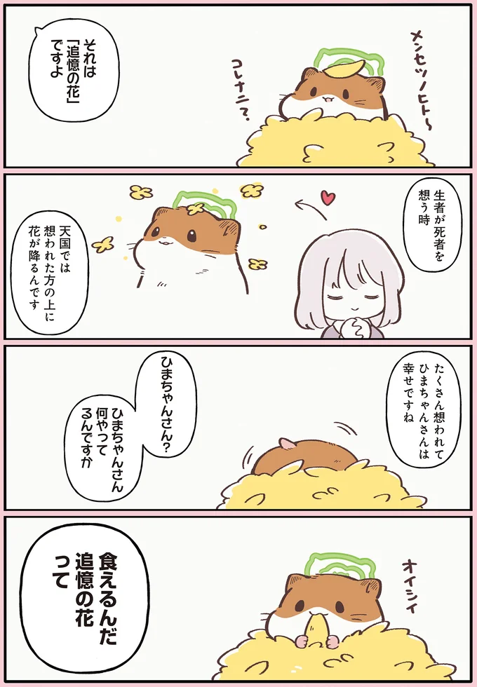 天国の動物に飼い主が贈る「追憶の花」。いっぱいの花にひまわりちゃんは？／ひまちゃんと天国の面接 42.webp