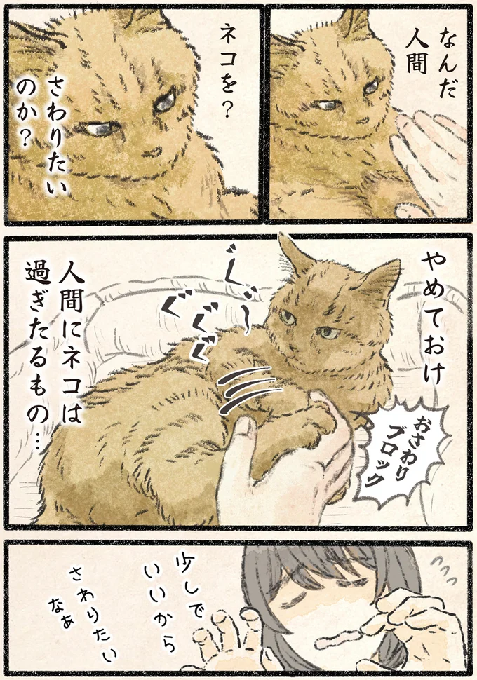 『今日もネコ様の圧が強い2』 22.webp