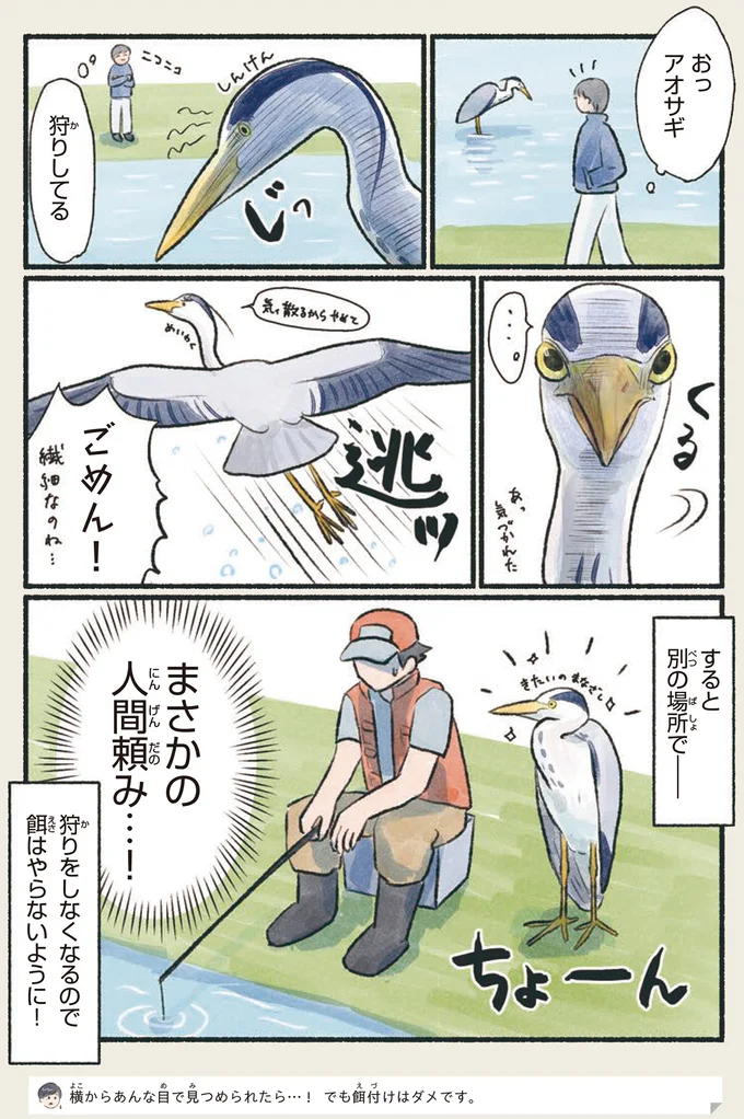 『意外と知らない鳥の生活 1〜2』 252.webp